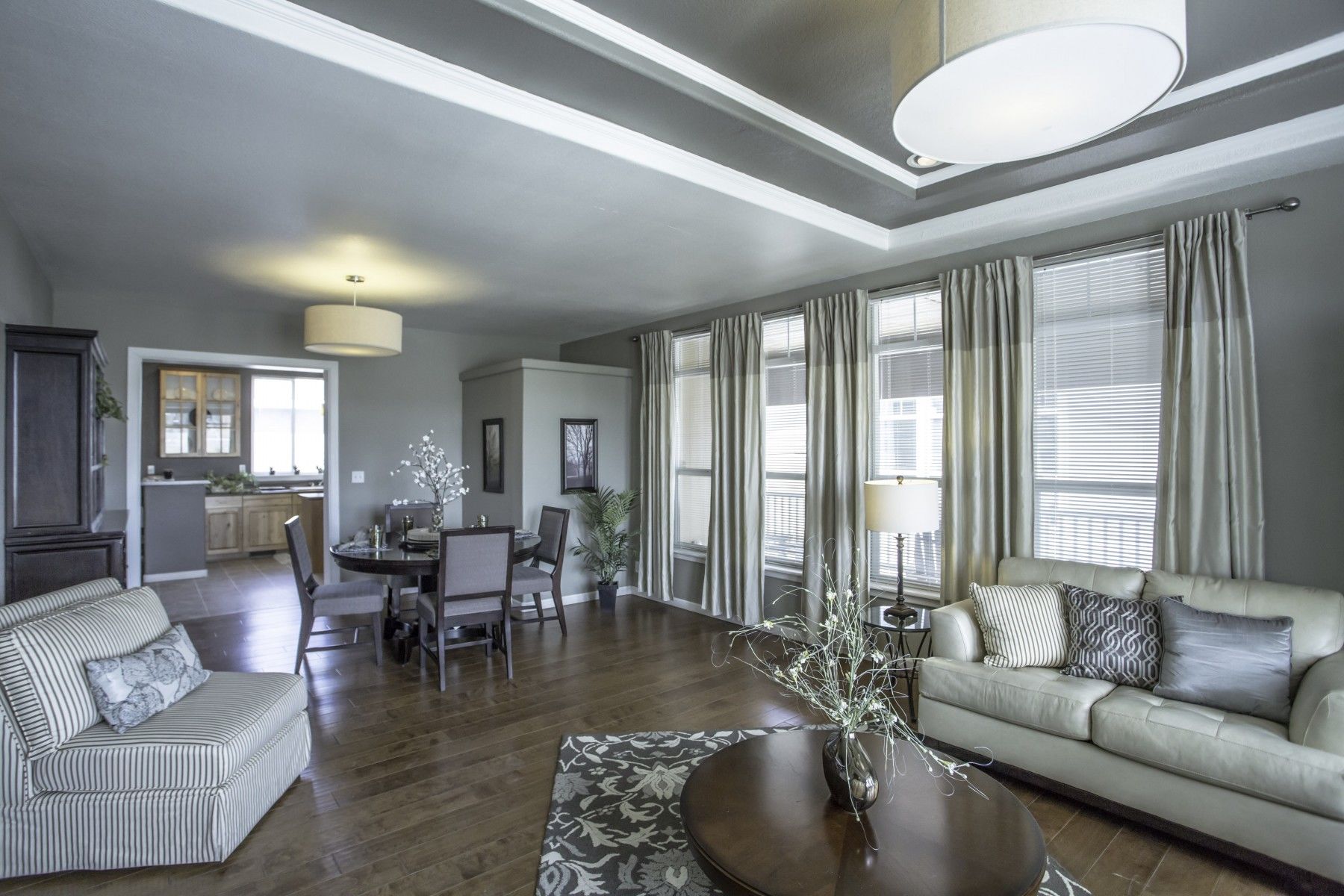 Customization Option for Living Room of Your Manufactured & Modular